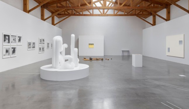 	gabriel kuri, unidades y continuidades, 2015