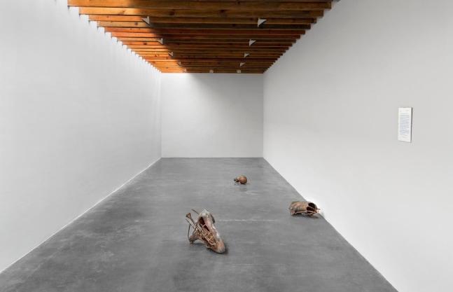 	log dog, kurimanzutto, mexico city, 2013