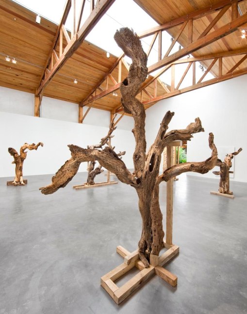 	gabriel orozco, kurimanzutto, mexico city, 2009