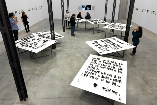 life in the folds, 2017

alphabet of ocarinas placed over tables, forming a poem. high temperature enamelled ceramic, compressed aluminum sheets prepared with imprint, silkscreen and varnish, fixed on a steel tubular base. film black and white, with sound. set of 100 xerographic prints on paper

45.28 x 472.44 x 303.15 in.&amp;nbsp;approx. installed
installation view at the 57th venice biennale, 2019

&amp;nbsp;

&amp;nbsp;