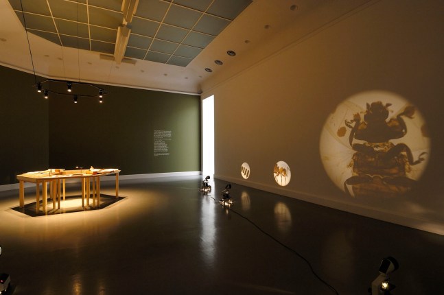 social entomology, 2006-2007

5 proyectores de microscopio con portaobjetos, 6 mesas con material de investigaci&amp;oacute;n, portaobjetos de linterna m&amp;aacute;gica, postales, publicaciones, bombas rociadoras de insecticidas vintage, lupa, microscopio,&amp;nbsp;insectos

dimensiones variables

vista de instalaci&amp;oacute;n de&amp;nbsp;minerva cuevas, van abbemuseum, eindhoven, pa&amp;iacute;ses bajos, 2008