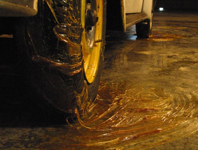 	moby dick, kurimanzutto, mexico city, 2004