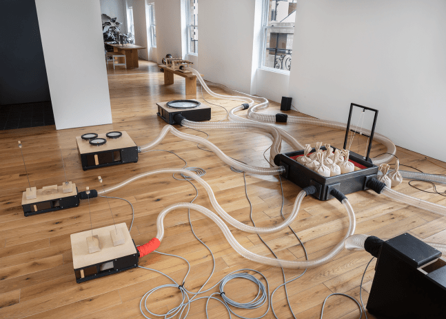 organ within, kurimanzutto, nueva&amp;nbsp;york, 2019