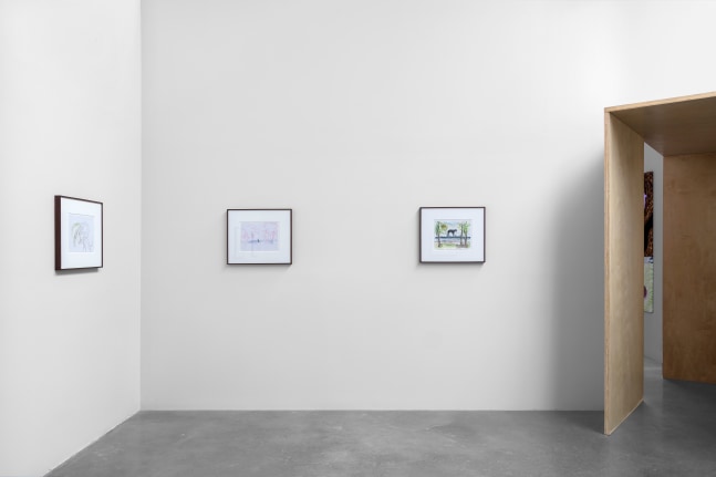 miguel calder&amp;oacute;n,&amp;nbsp;amenaza cocotera (coconut threat)&amp;nbsp;in&amp;nbsp;siembra (sowing), kurimanzutto, mexico city, 2020-21