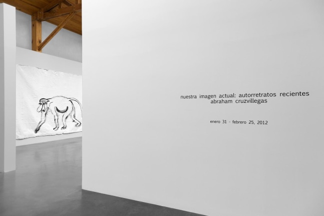 	nuestra imagen actual, kurimanzutto, mexico city, 2012