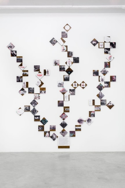 the encyclopedia of the dead: darwin, 2012

set of 71 laminated ink-jet prints mounted on wood

5.9 x 5.9 x .8 in.&amp;nbsp;each

&amp;nbsp;