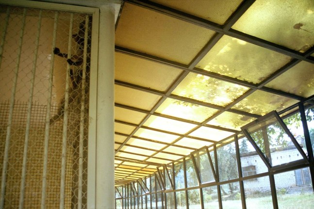 casa zoo IV, 2001
color photograph mounted on aluminium
43.5 x 64.61 in

&amp;nbsp;

&amp;nbsp;