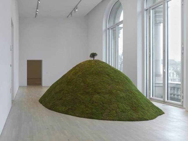 the hill seen from afar, 2011
bonsai tree, dried moss, various materials
variable dimensions
installation kunstsammlung nordrhein-westfalen (k21), d&amp;uuml;sseldorf, 2012

&amp;nbsp;

&amp;nbsp;

&amp;nbsp;
