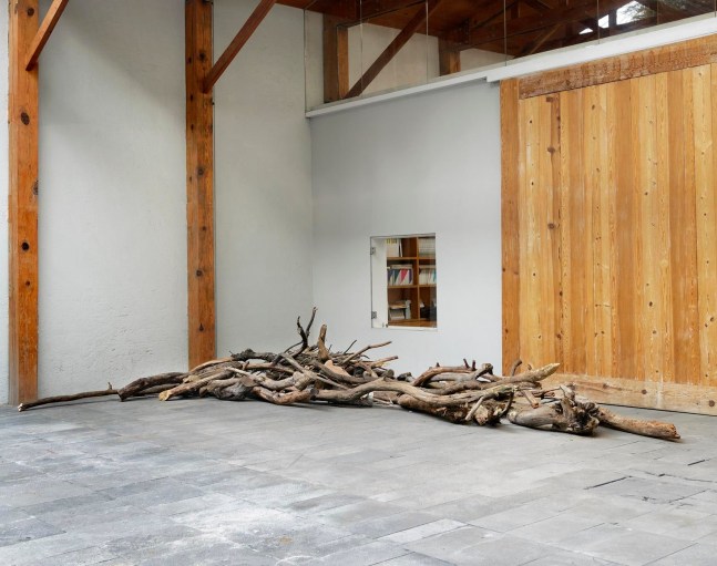 	log dog, kurimanzutto, mexico city, 2013