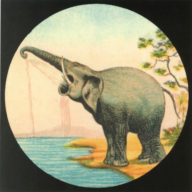 	minerva cuevas, invitation la venganza del elefante, 2007