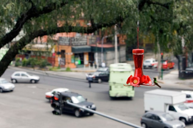 assisted levitation, 2008

a crane, 98 ft high with a 164 ft arm, was especially erected to hold a hummingbird feeder visible through the window of an empty hall on the second floor of the museo de arte carrillo gil.

&amp;nbsp;