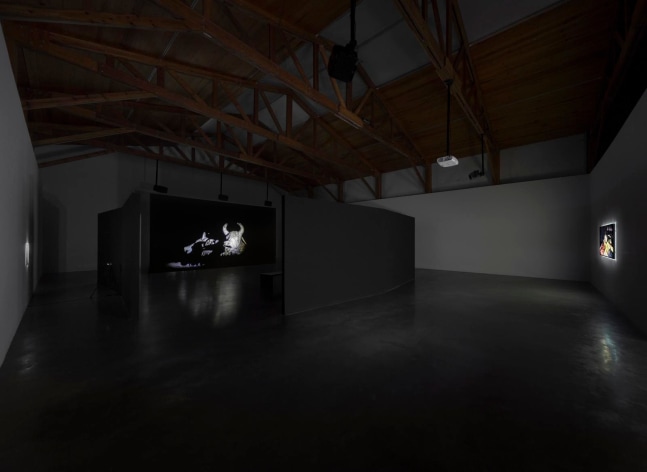 	fireworks, kurimanzutto, mexico city, 2014