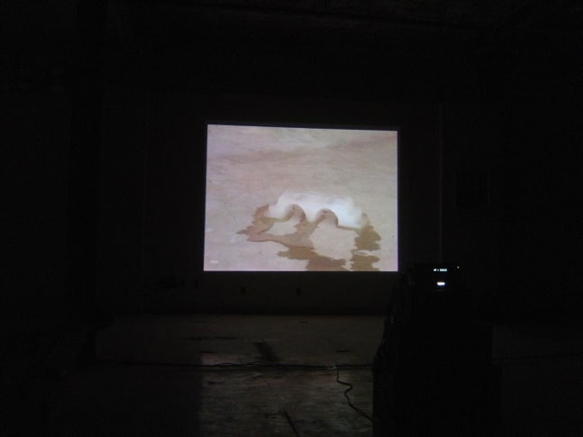 	tr&amp;aacute;fago, 5 de mayo 18, ciudad de m&amp;eacute;xico, 2004