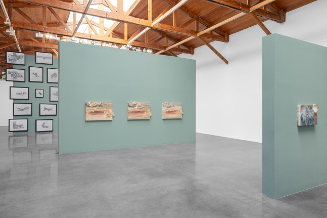 installation view anri sala, kurimanzutto mexico city, 2025. photo: gerardo landa &amp;amp; eduardo l&amp;oacute;pez.


&amp;nbsp;
