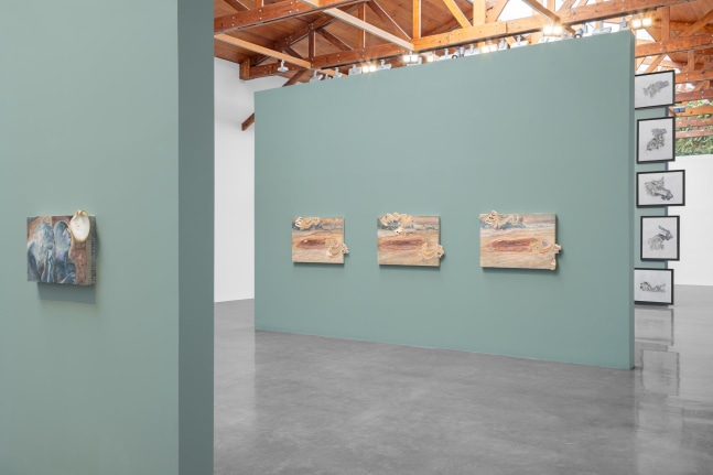 installation view anri sala, kurimanzutto mexico city, 2025. photo: gerardo landa &amp;amp; eduardo l&amp;oacute;pez.


&amp;nbsp;
