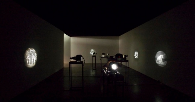 	la venganza del elefante, kurimanzutto, mexico city, 2007