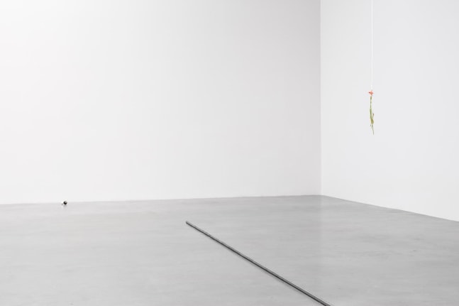 no se puede hacer una revoluci&amp;oacute;n con guantes de seda, kurimanzutto, ciudad de m&amp;eacute;xico, 2016