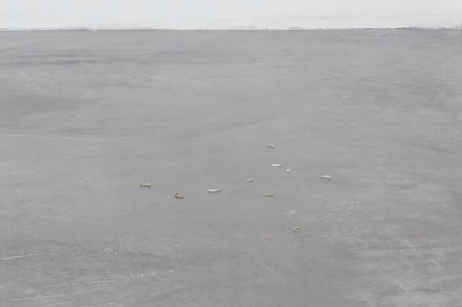 no se puede hacer una revoluci&amp;oacute;n con guantes de seda, kurimanzutto, ciudad de m&amp;eacute;xico, 2016