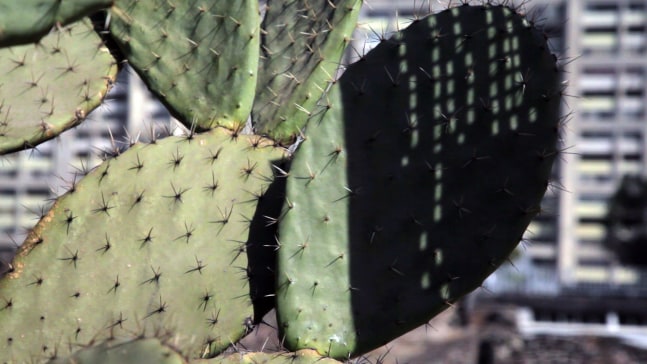 tlatelolco clash, 2011
hd video projection, dolby digital 5.1
11:49 min