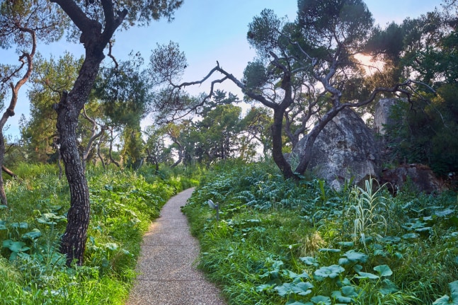 the theater of disappearance, 2017
installation view at national observatory of athens, hill of the nymphs, 2017

&amp;nbsp;