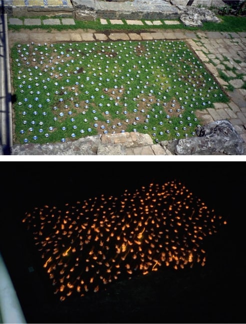 fuego envasado, 2001

600 cans of alcohol on grass

variable dimensions&amp;nbsp;

&amp;nbsp;