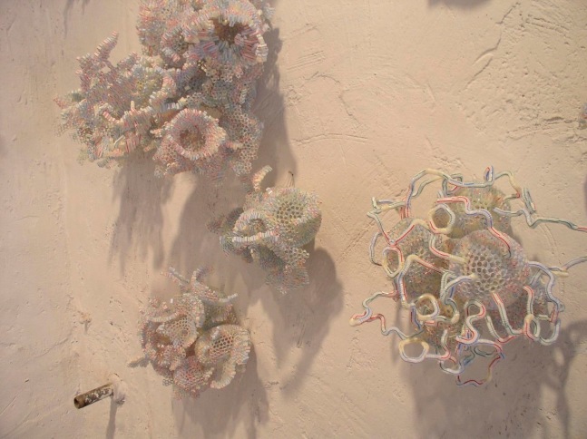 	la cuesta de enero y otros procesos protoecon&amp;oacute;micos, 5 de mayo 18, ciudad de m&amp;eacute;xico, 2005