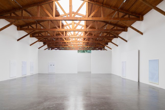 pale fire, kurimanzutto, mexico city, 2016