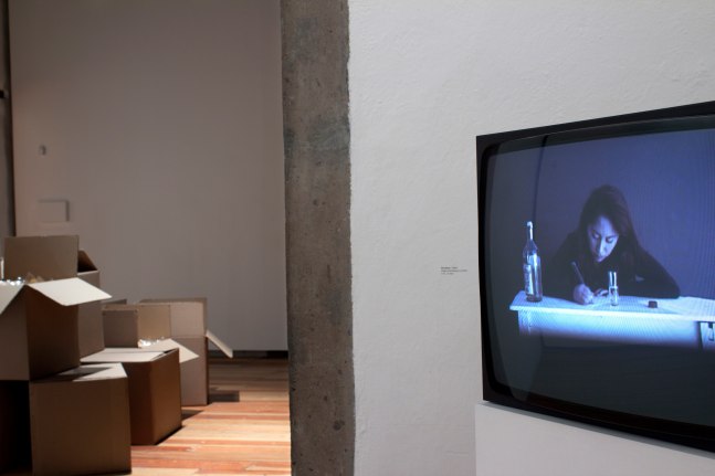 drunker, 1995

video transferido a dvd

1 hr 5 min

vista de instalaci&amp;oacute;n de&amp;nbsp;minerva cuevas, museo de la ciudad de m&amp;eacute;xico,&amp;nbsp;2012