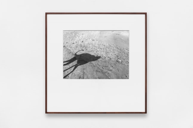 miguel calder&amp;oacute;n, buenavista, guerrero, abril 2020 en siembra, kurimanzutto, ciudad de m&amp;eacute;xico, 2020