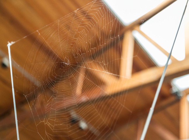 	fernando ortega, installation view, 2013