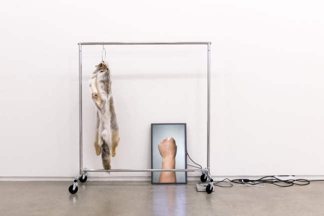 duane linklater. the place I seek to go, 2014. coyote fur, garment rack, hanger, flat screen TV, mac mini, HD video loop, cables