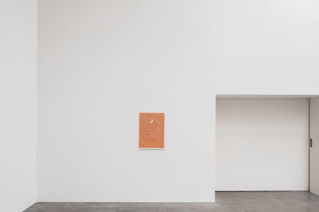 pale fire, kurimanzutto, mexico city, 2016