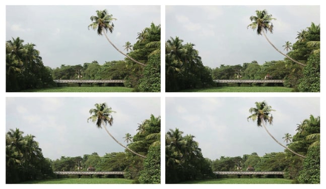 narrow day, 2011

video

4:54&amp;nbsp;min

&amp;nbsp;

&amp;nbsp;