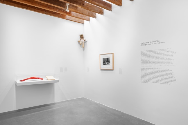 installation view an unlikely inventory: dialogues with surrealism, kurimanzutto mexico city, 2024. photo: gerardo landa / eduardo l&amp;oacute;pez (glr estudio)