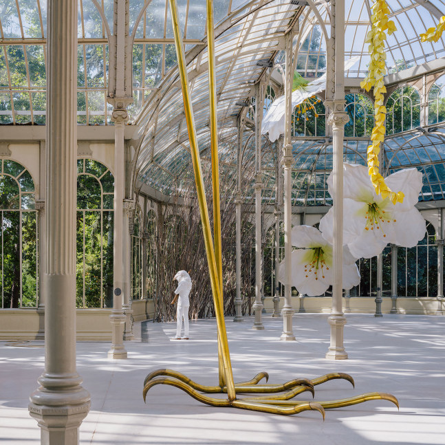 vista de instalaci&amp;oacute;n, to a raven and hurricanes that from unknown places bring back smells of humans in love&amp;nbsp;(en colaboraci&amp;oacute;n con &amp;aacute;lvaro urbano), palacio de cristal, museo reina sof&amp;iacute;a, madrid, 2020