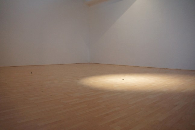 illuminated stone and unilliminated stone, 2012

stones, light

variable&amp;nbsp;dimensions&amp;nbsp;

&amp;nbsp;