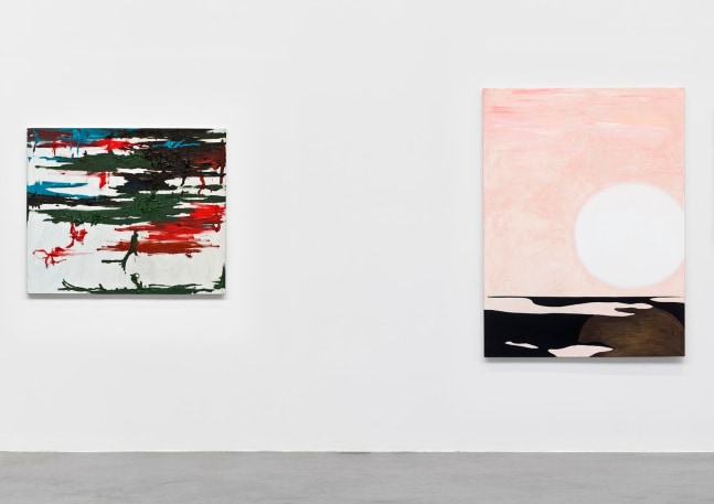 	wilhelm sasnal,&amp;nbsp;kurimanzutto, mexico city, mexico, 2011