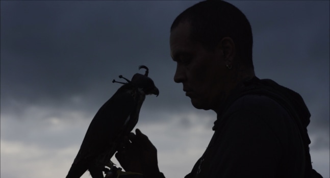 camale&amp;oacute;n, 2017 fotograma del v&amp;iacute;deo