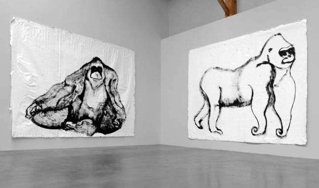 	nuestra imagen actual, kurimanzutto, mexico city, 2012