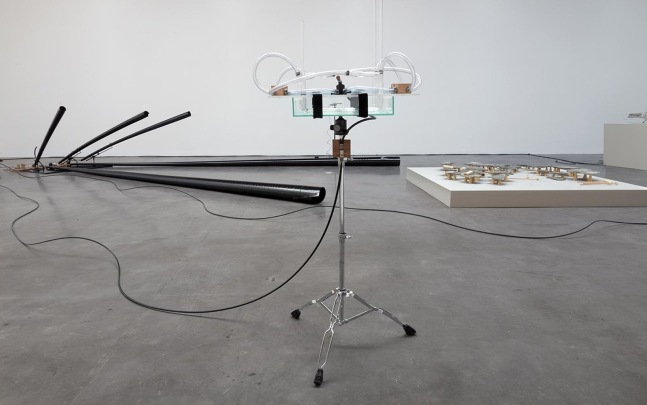 	the reverse sessions, kurimanzutto, mexico city, 2014