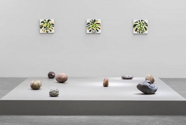 	gabriel orozco, kurimanzutto, ciudad de m&amp;eacute;xico, 2013