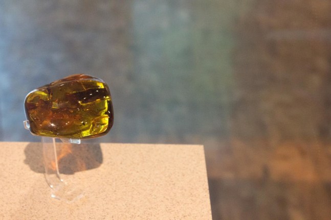 notas para la destrucci&amp;oacute;n del museo de antropolog&amp;iacute;a (&amp;aacute;mbar), 2014

impresi&amp;oacute;n digital sobre papel de algod&amp;oacute;n

33.33 x 50 cm

&amp;nbsp;

&amp;nbsp;