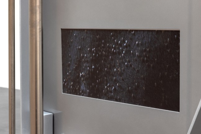 mod&amp;egrave;le vivant, kurimanzutto, mexico city, 2023