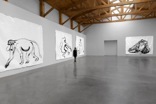 	nuestra imagen actual, kurimanzutto, mexico city, 2012