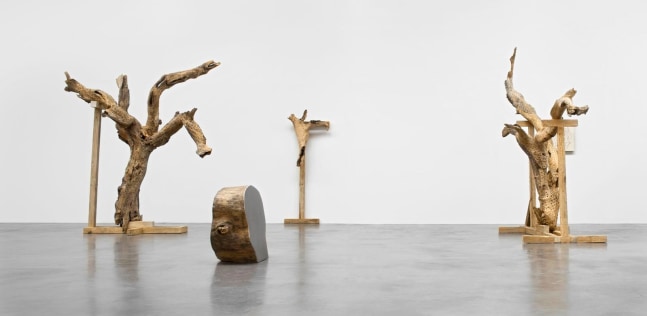 	gabriel orozco, kurimanzutto, mexico city, 2009
