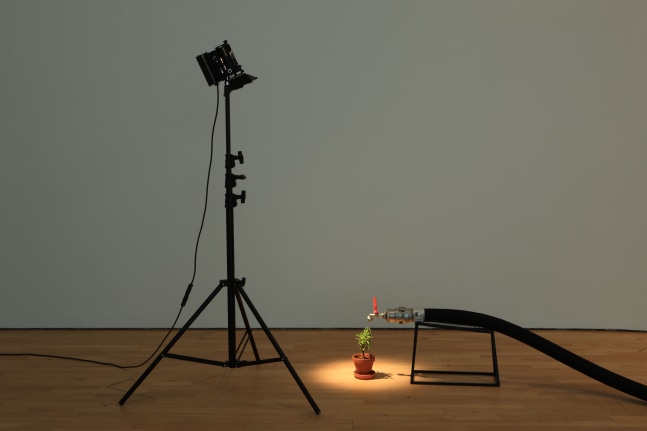 much ado about nothing, 2003

electric generator, water pipe, hose, cables, lamp, plant

variable&amp;nbsp;dimensions

&amp;nbsp;