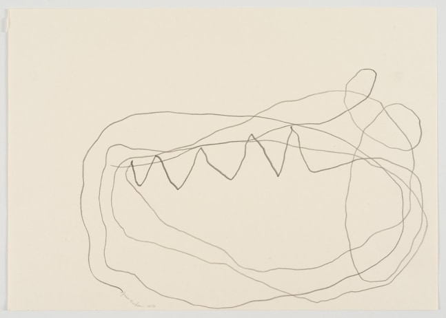 jimmie durham - dibujos