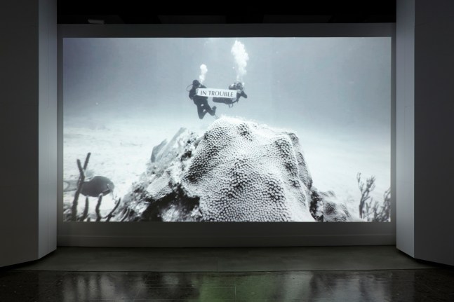 a drought of the blue, 2013

video, color, sonido

9 min 48 sec

vista de instalaci&amp;oacute;n de&amp;nbsp;disidencia.&amp;nbsp;mishkin gallery, nueva york, 2019