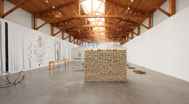 	dami&amp;aacute;n ortega, kurimanzutto, mexico city, 2011