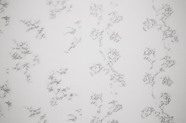 all of a tremble, kurimanzutto, ciudad de m&amp;eacute;xico, 2017